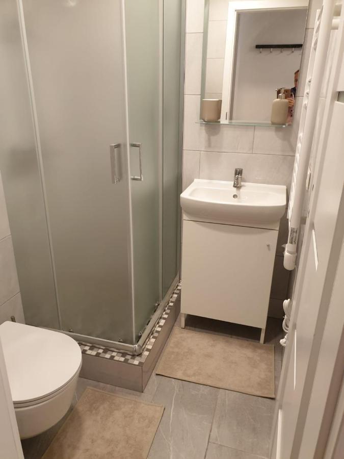 Studio Rent In זראסאי מראה חיצוני תמונה